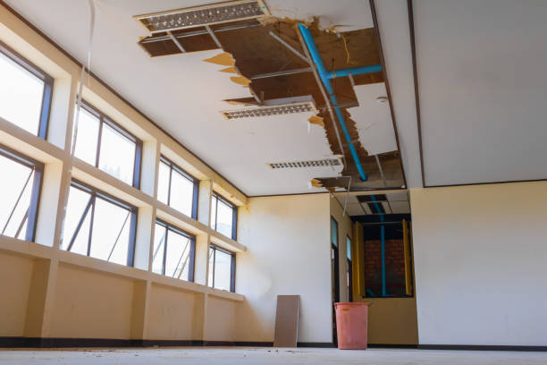 Reliable NM Water damage restoration Solutions