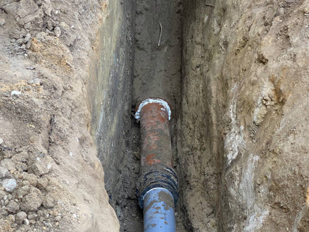 Best Basement water damage restoration  in Gallup, NM