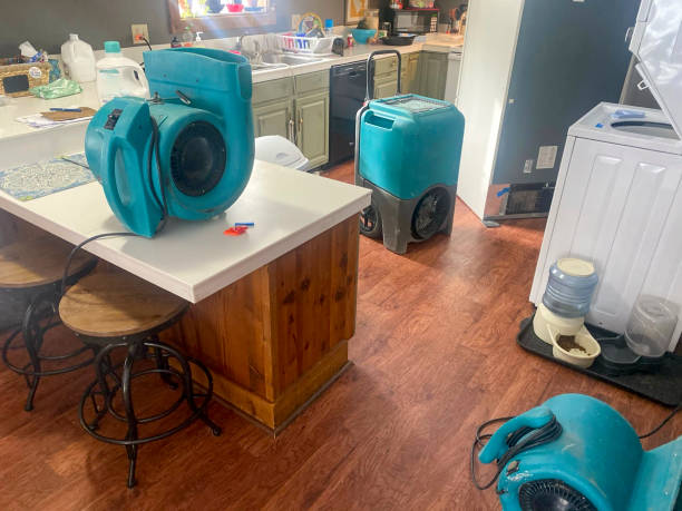Best Mold removal after water damage  in Gallup, NM