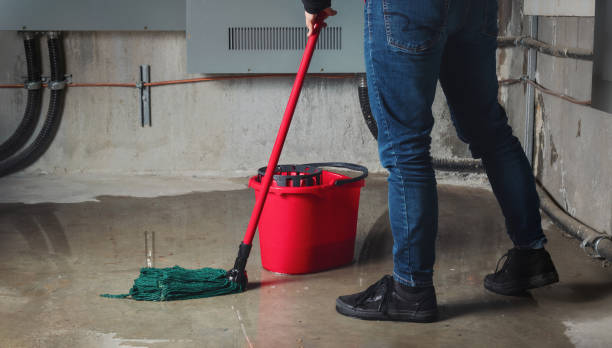 Best Ceiling water damage repair  in Gallup, NM