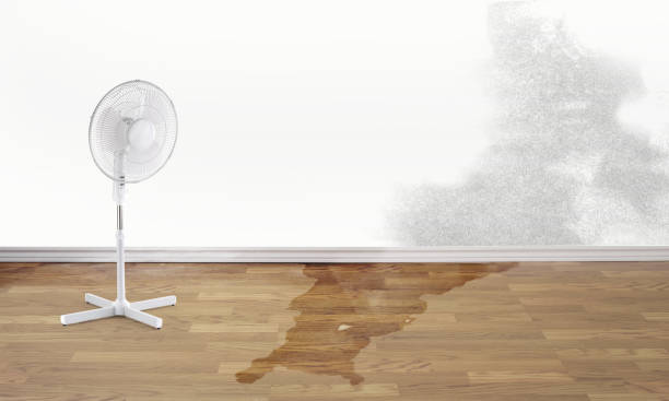 Best Water damage restoration company  in Gallup, NM