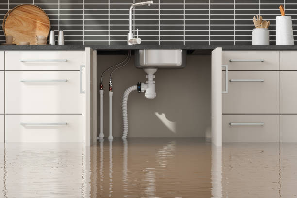 Best Professional water damage repair  in Gallup, NM